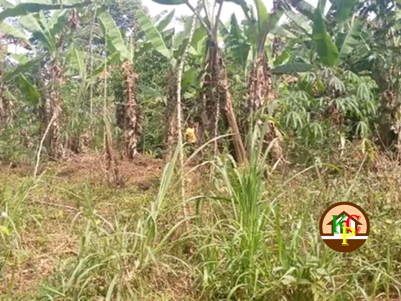 Residential Land for sale in Nama Mukono