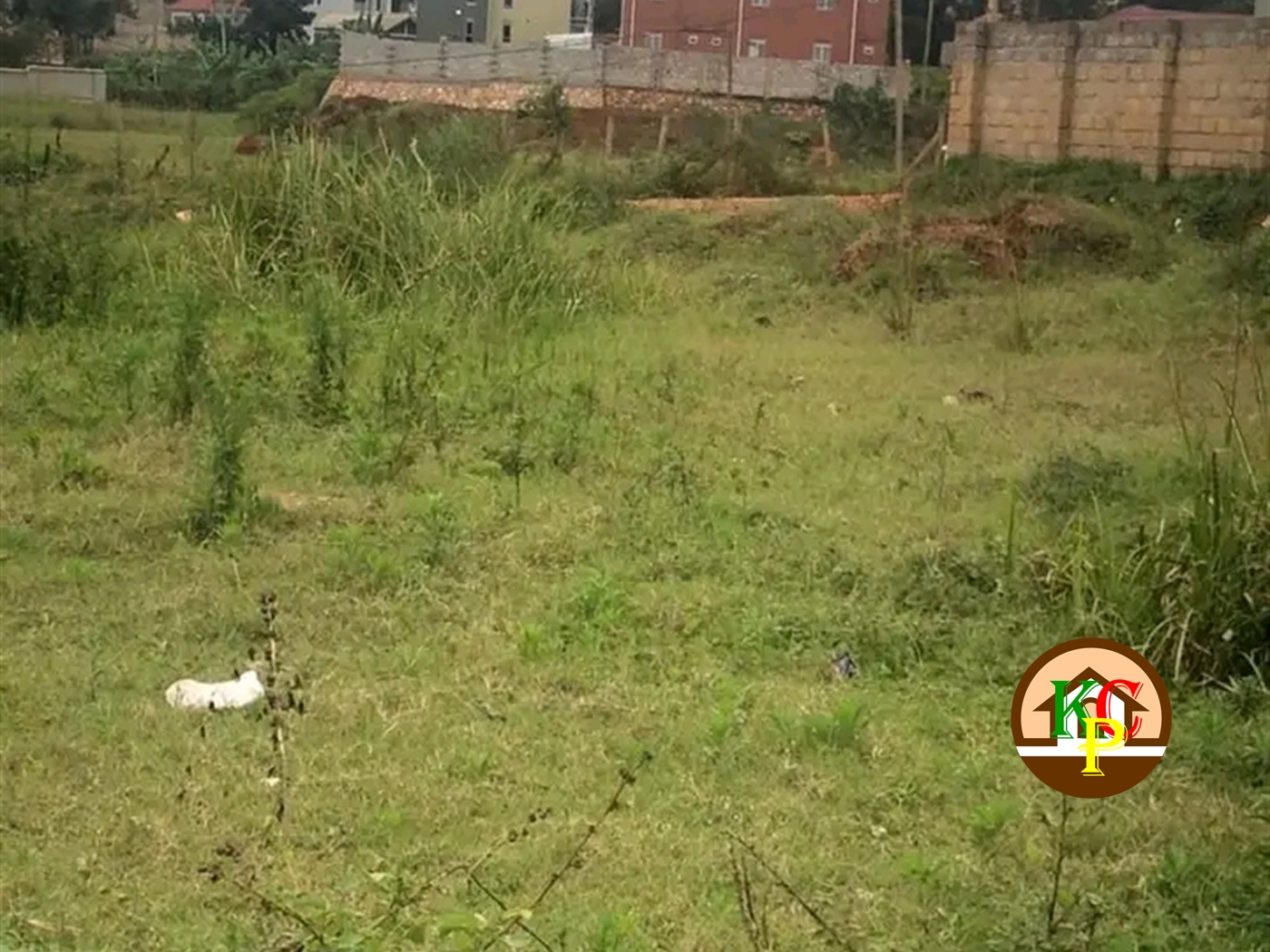 Residential Land for sale in Kyaliwajjala Wakiso