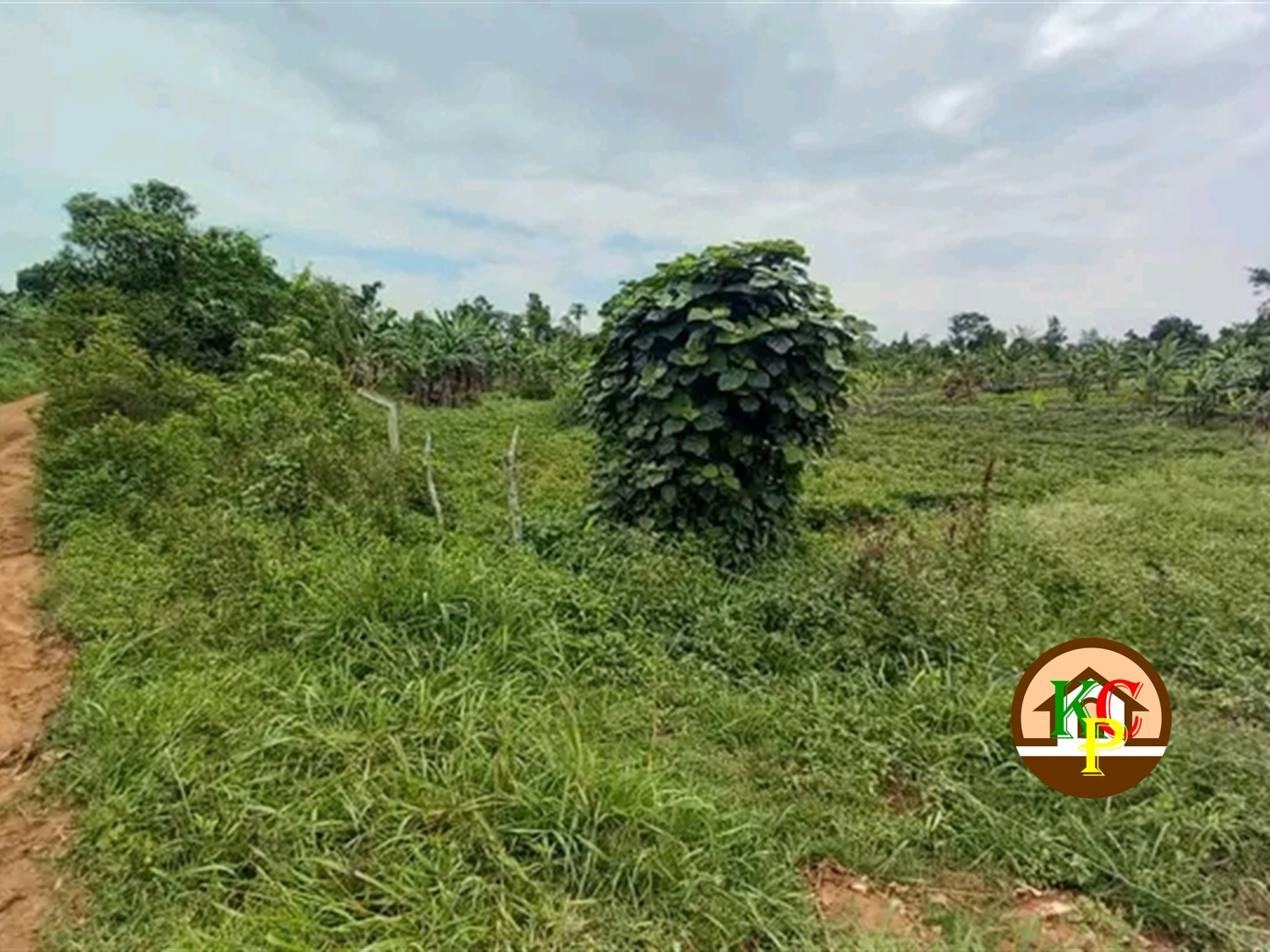 Residential Land for sale in Nakifuma Mukono