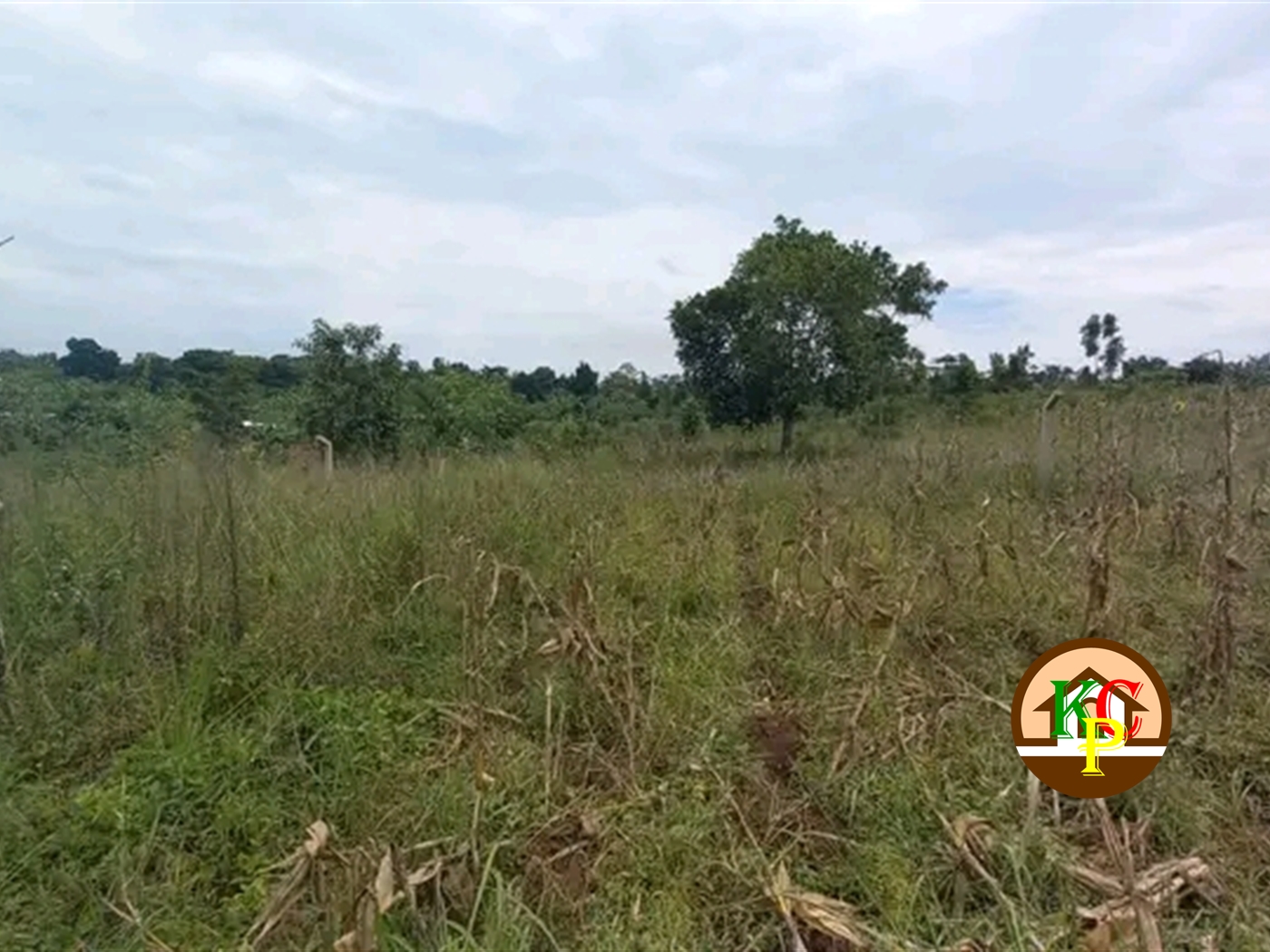 Residential Land for sale in Nakifuma Mukono