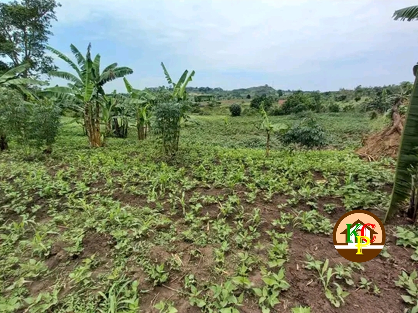 Residential Land for sale in Nakifuma Mukono