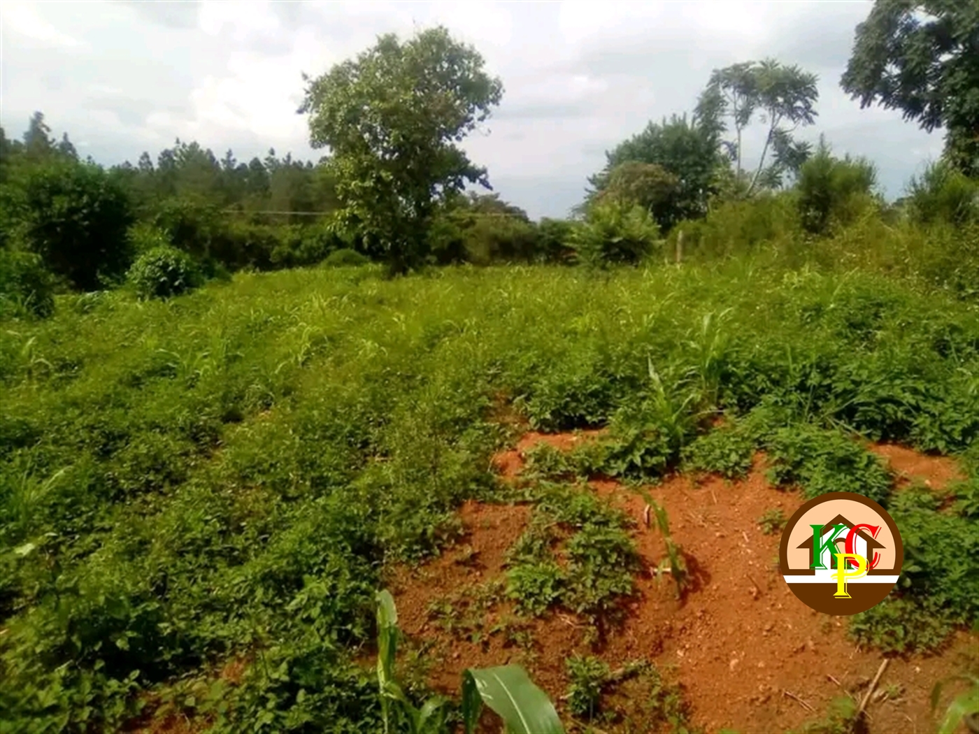 Residential Land for sale in Gayaza Wakiso