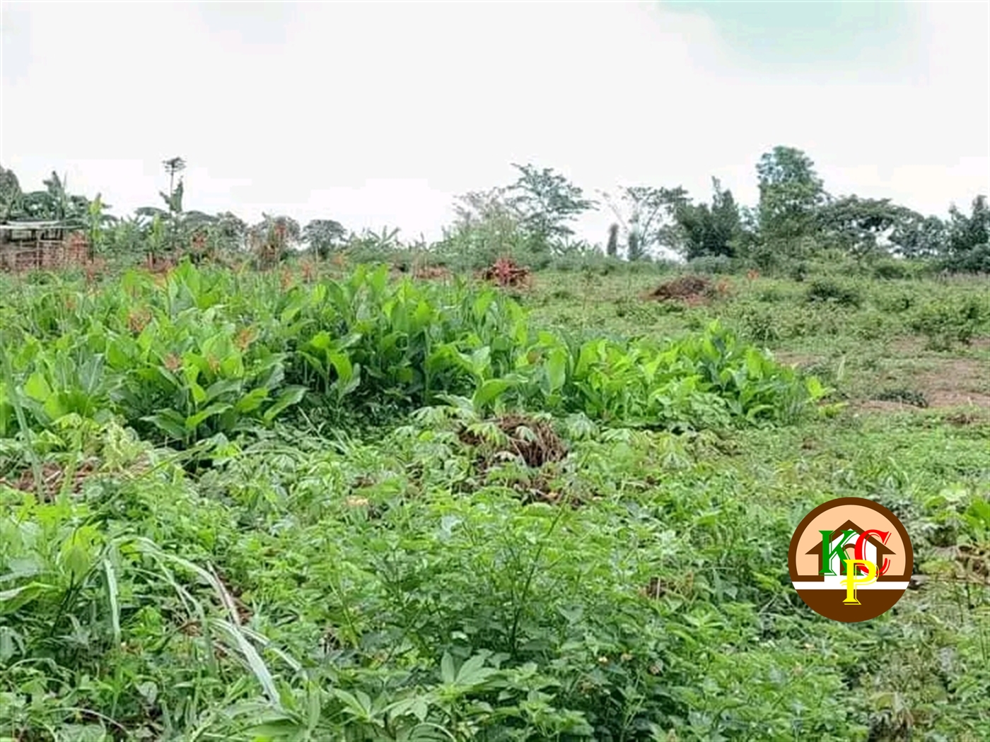 Residential Land for sale in Kira Wakiso