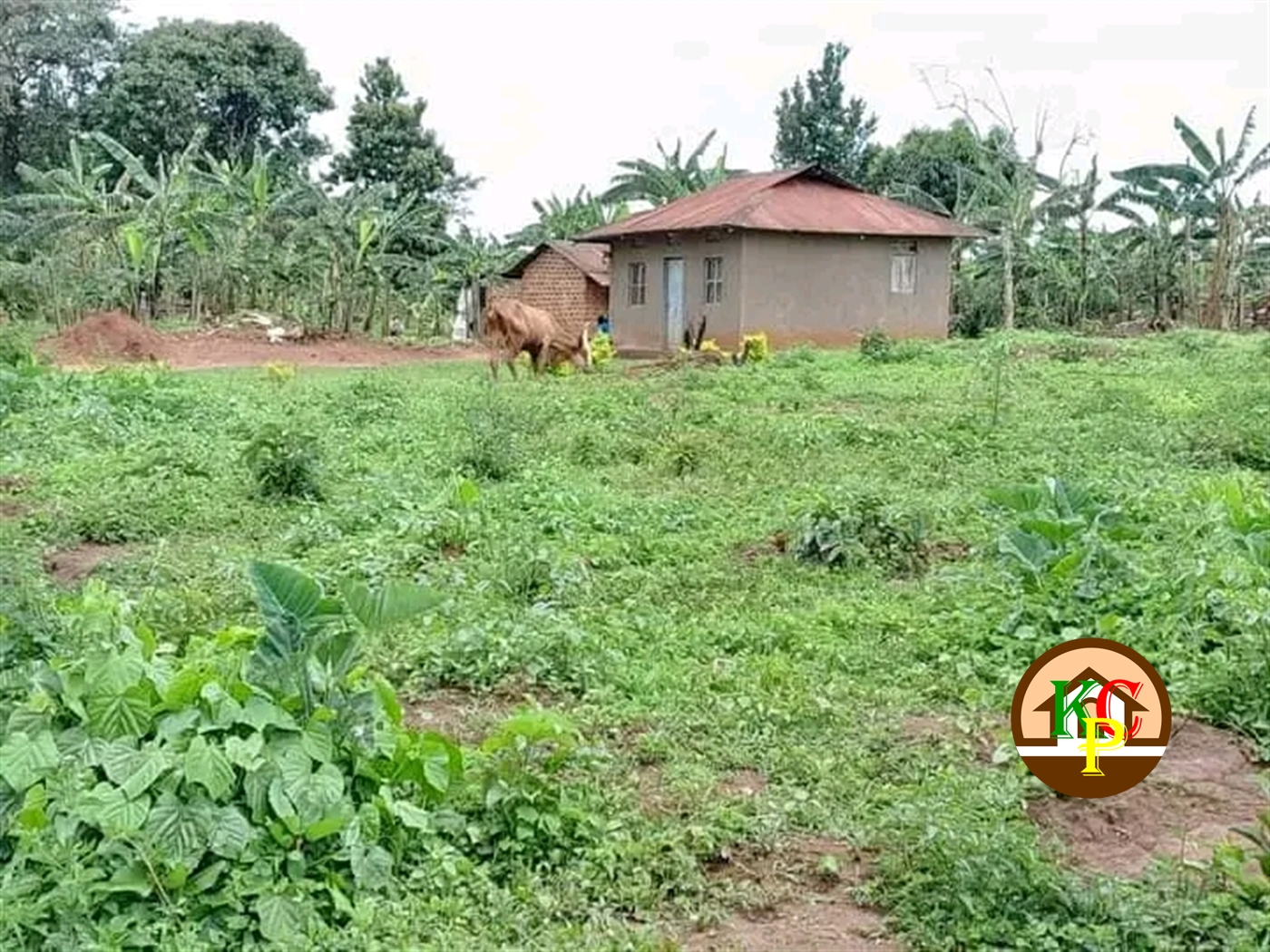 Residential Land for sale in Kira Wakiso