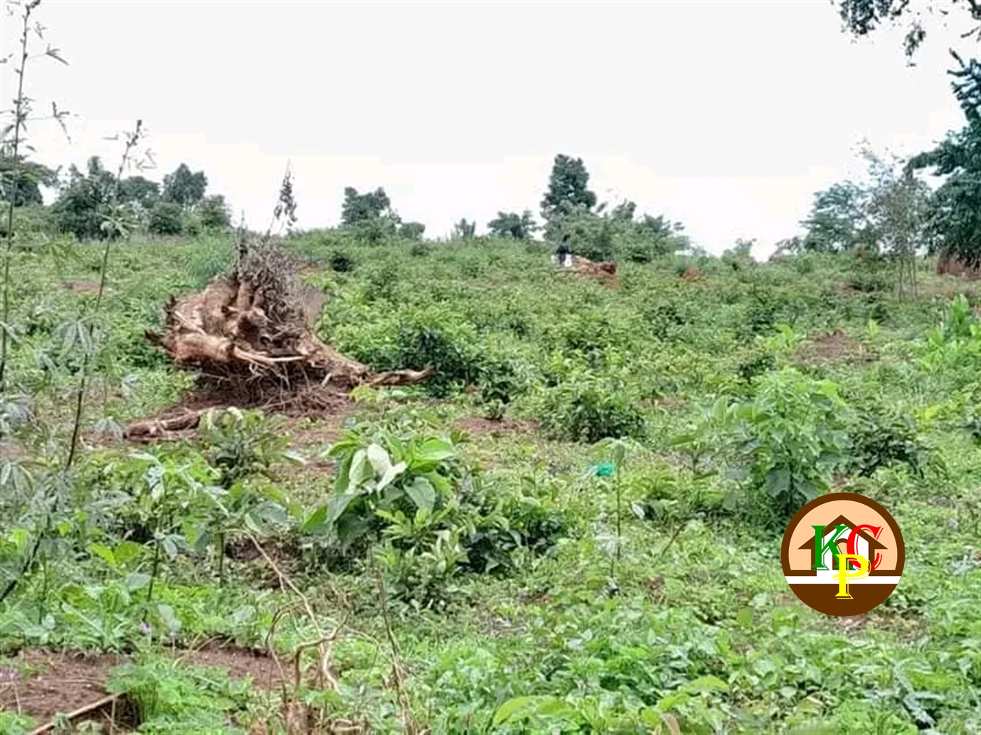 Residential Land for sale in Kira Wakiso