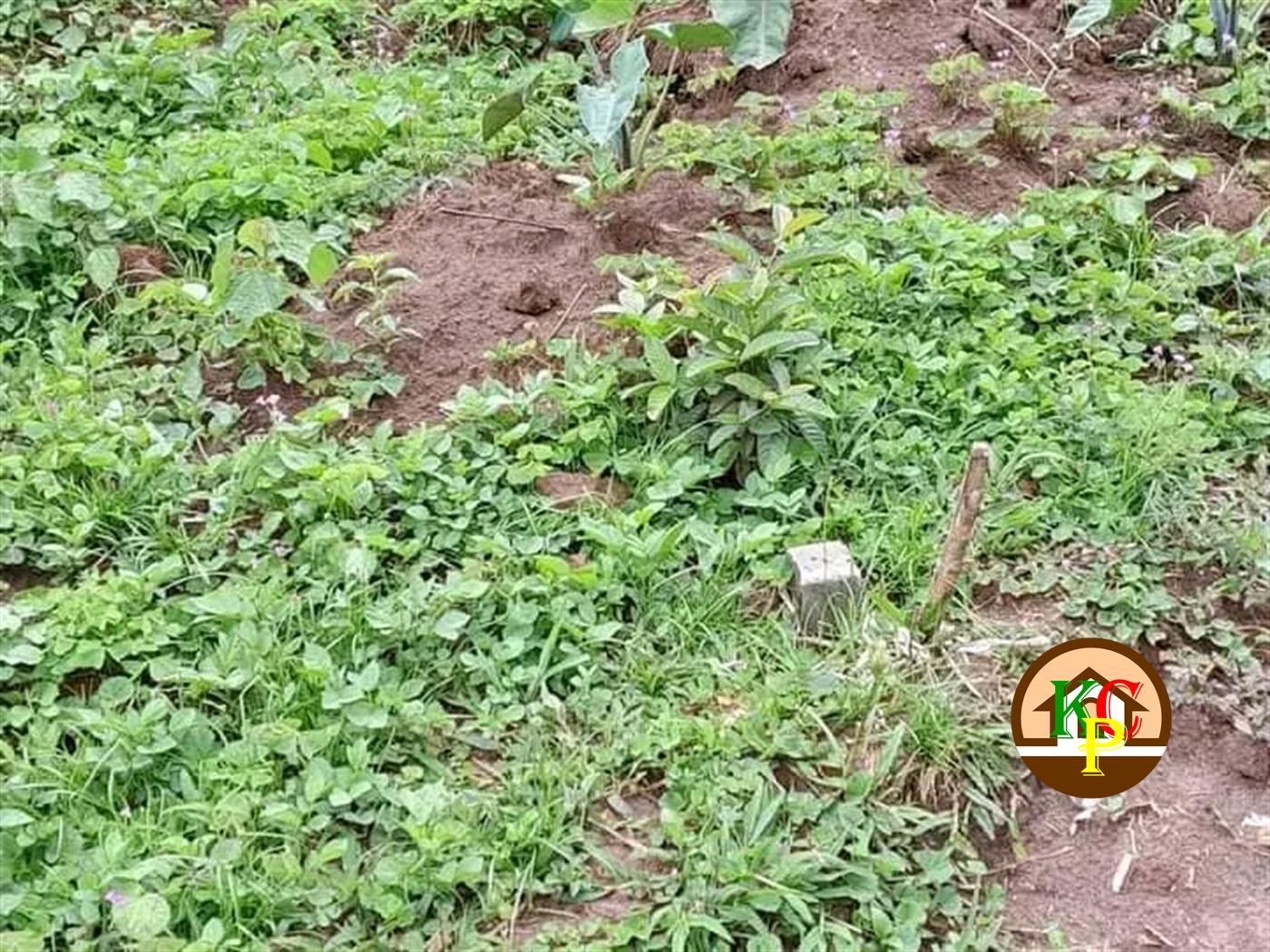 Residential Land for sale in Kira Wakiso