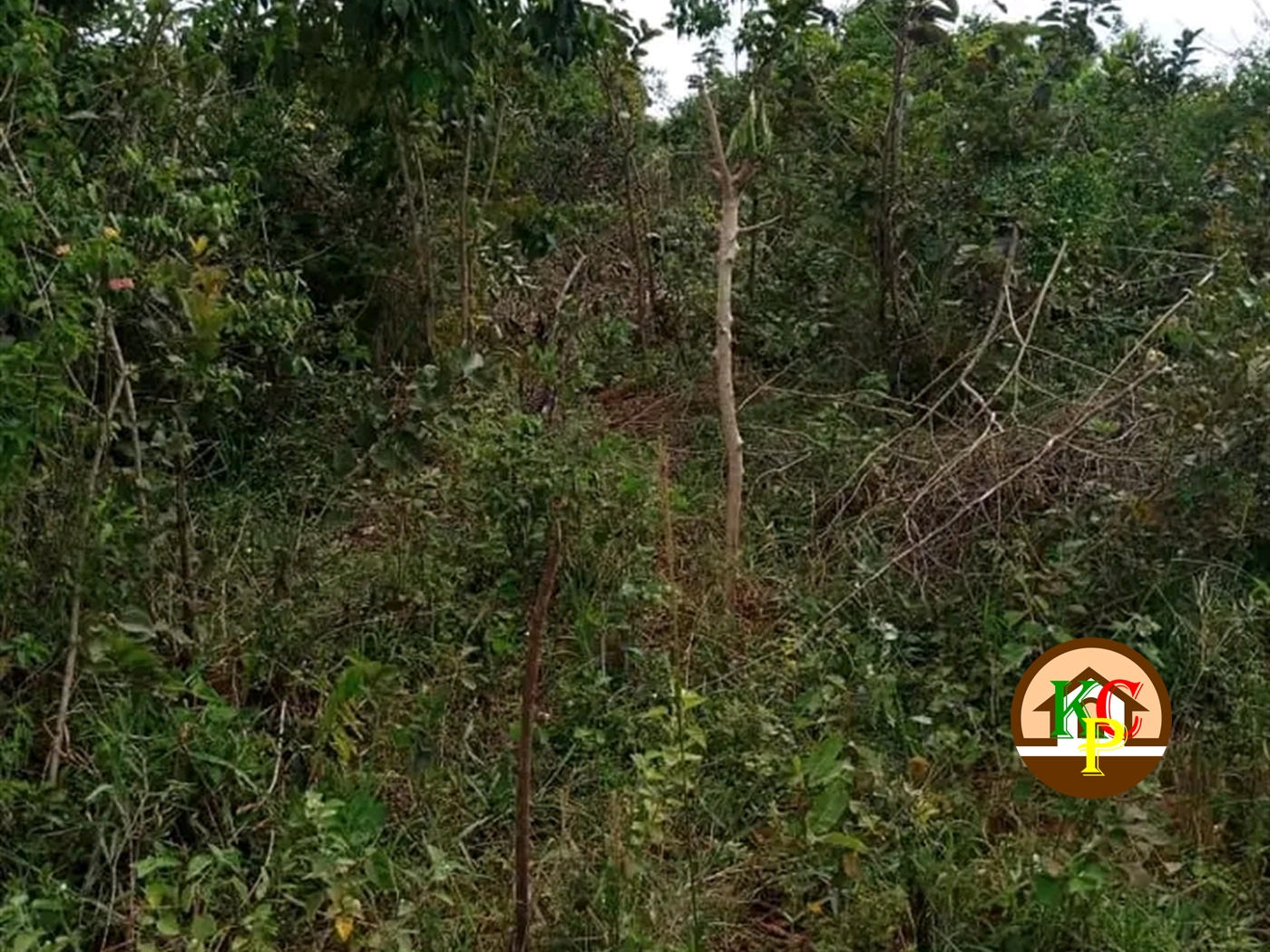 Residential Land for sale in Kakooge Wakiso