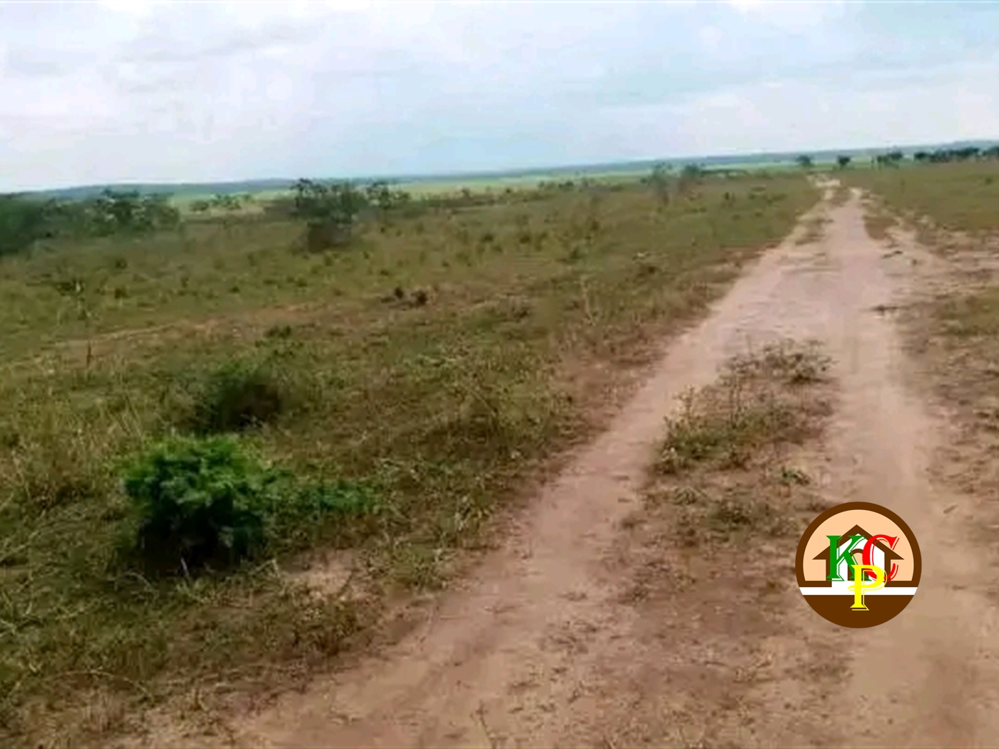 Residential Land for sale in Katuugo Nakasongola