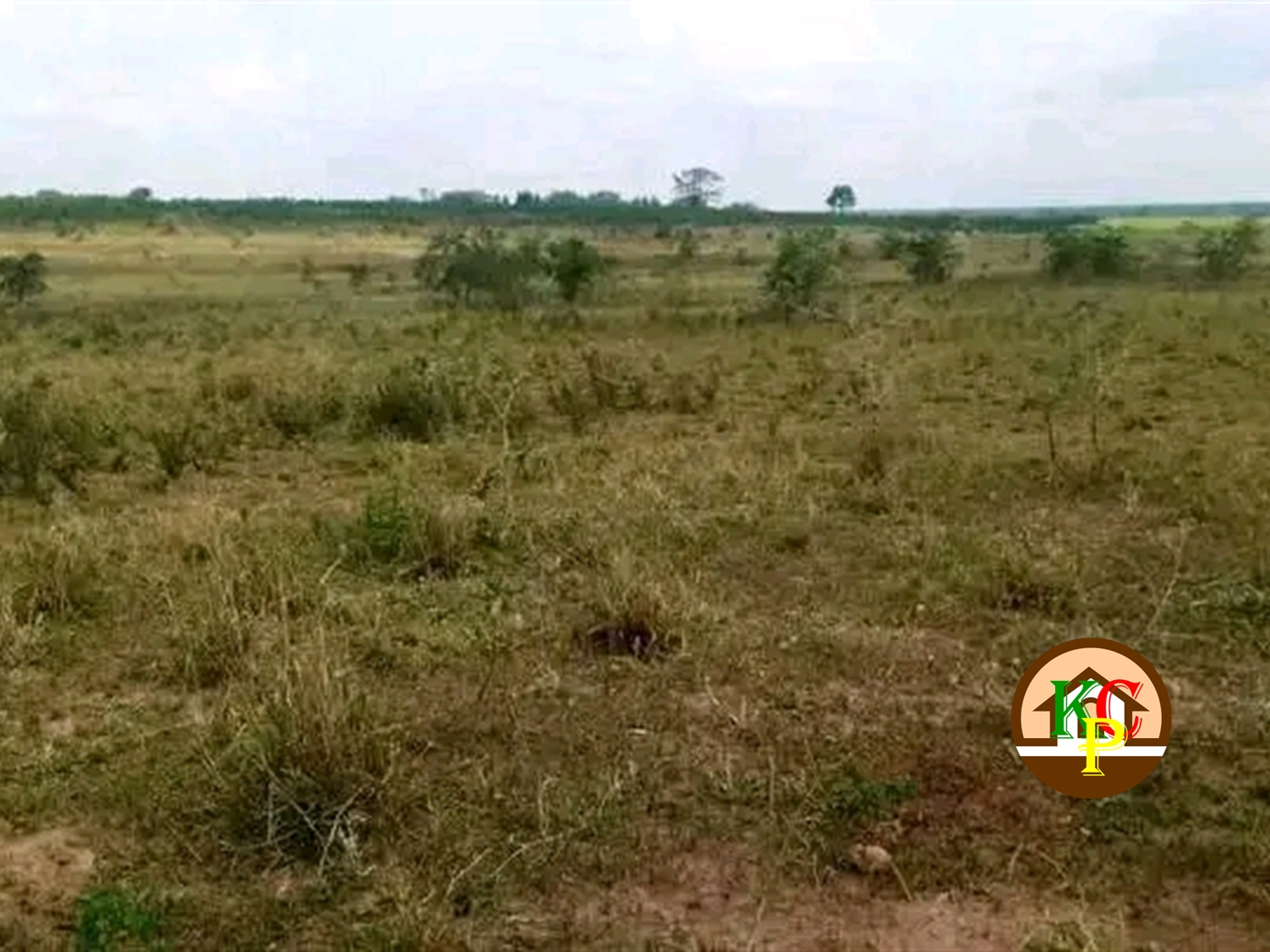 Residential Land for sale in Katuugo Nakasongola