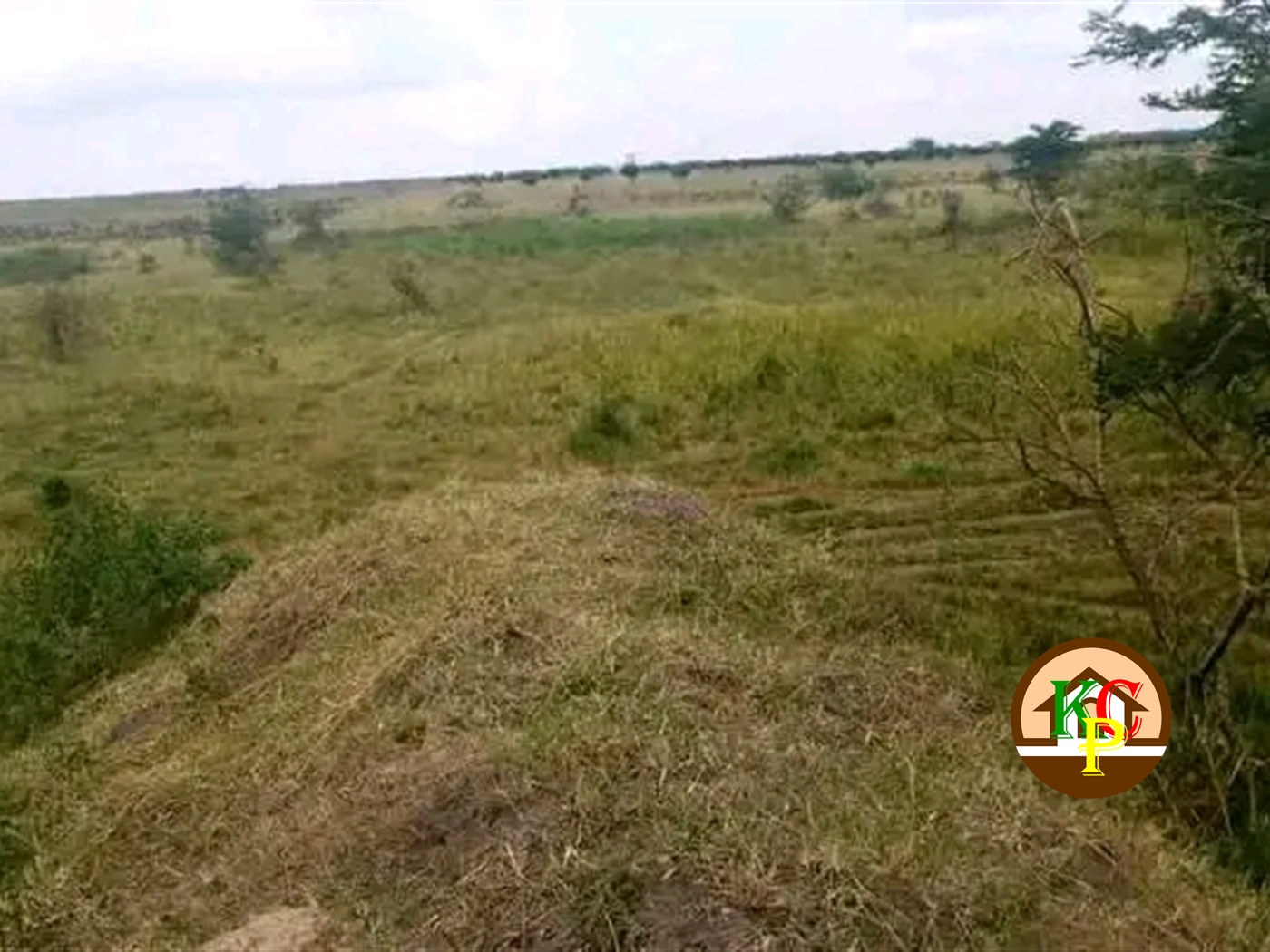 Residential Land for sale in Katuugo Nakasongola