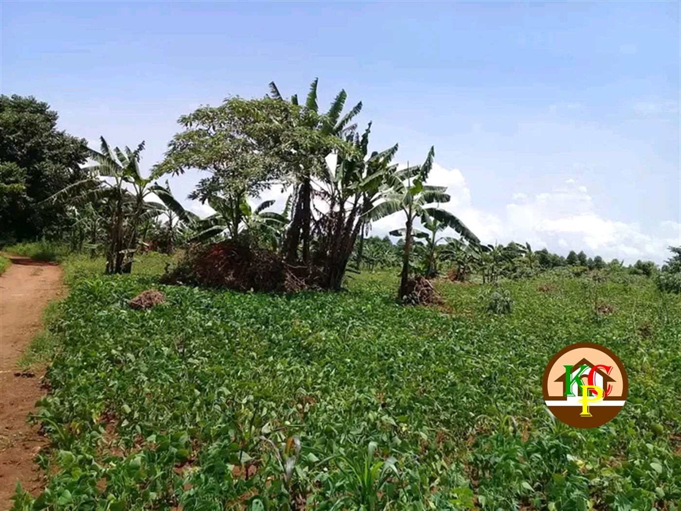 Residential Land for sale in Ziloobwe Luweero