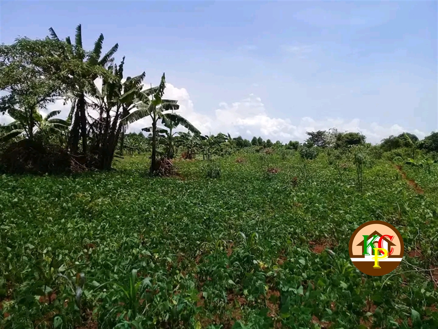 Residential Land for sale in Ziloobwe Luweero