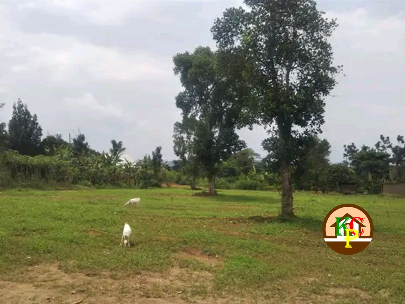 Residential Land for sale in Namayumba Wakiso