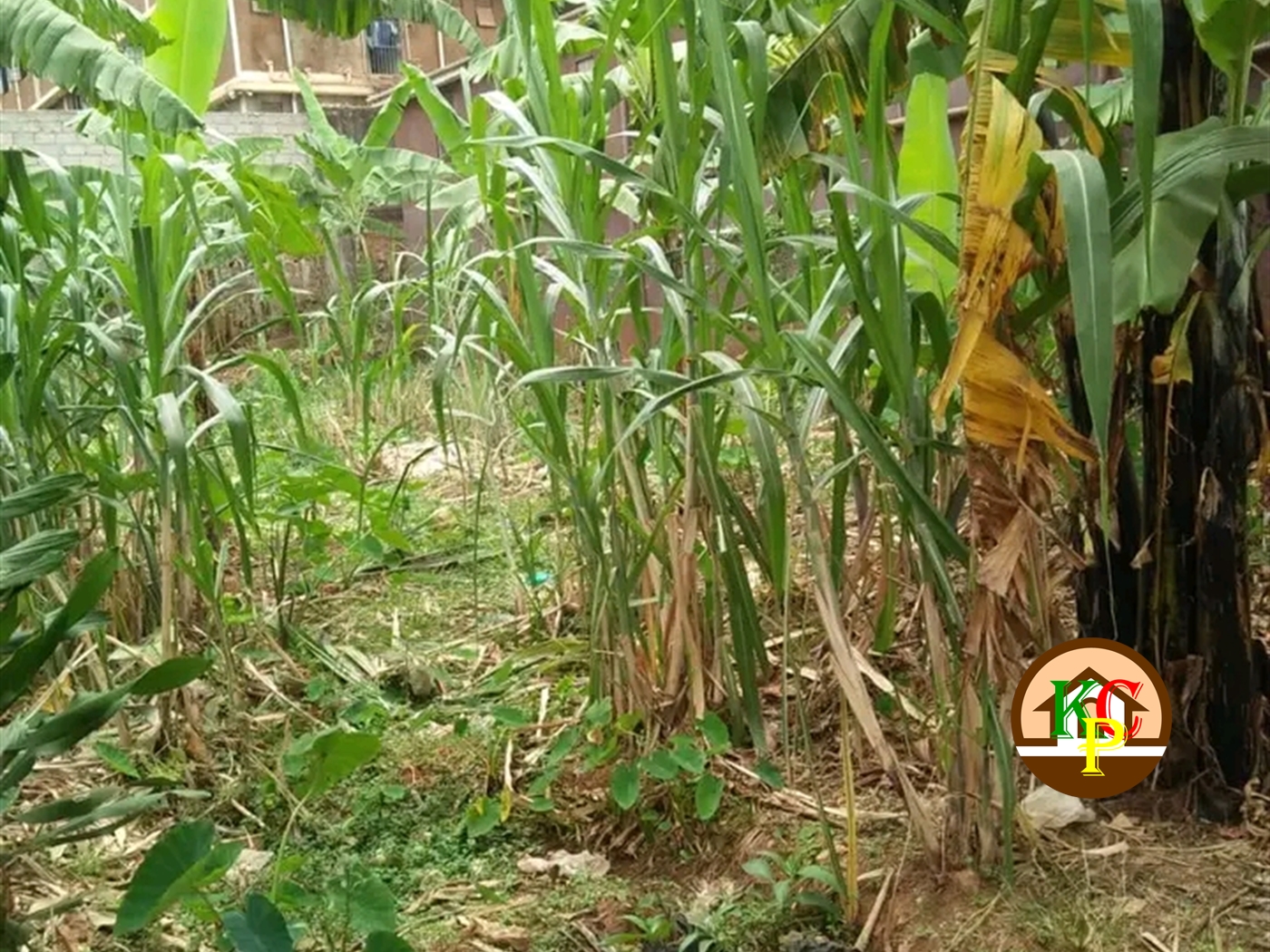 Residential Land for sale in Kikoni Kampala