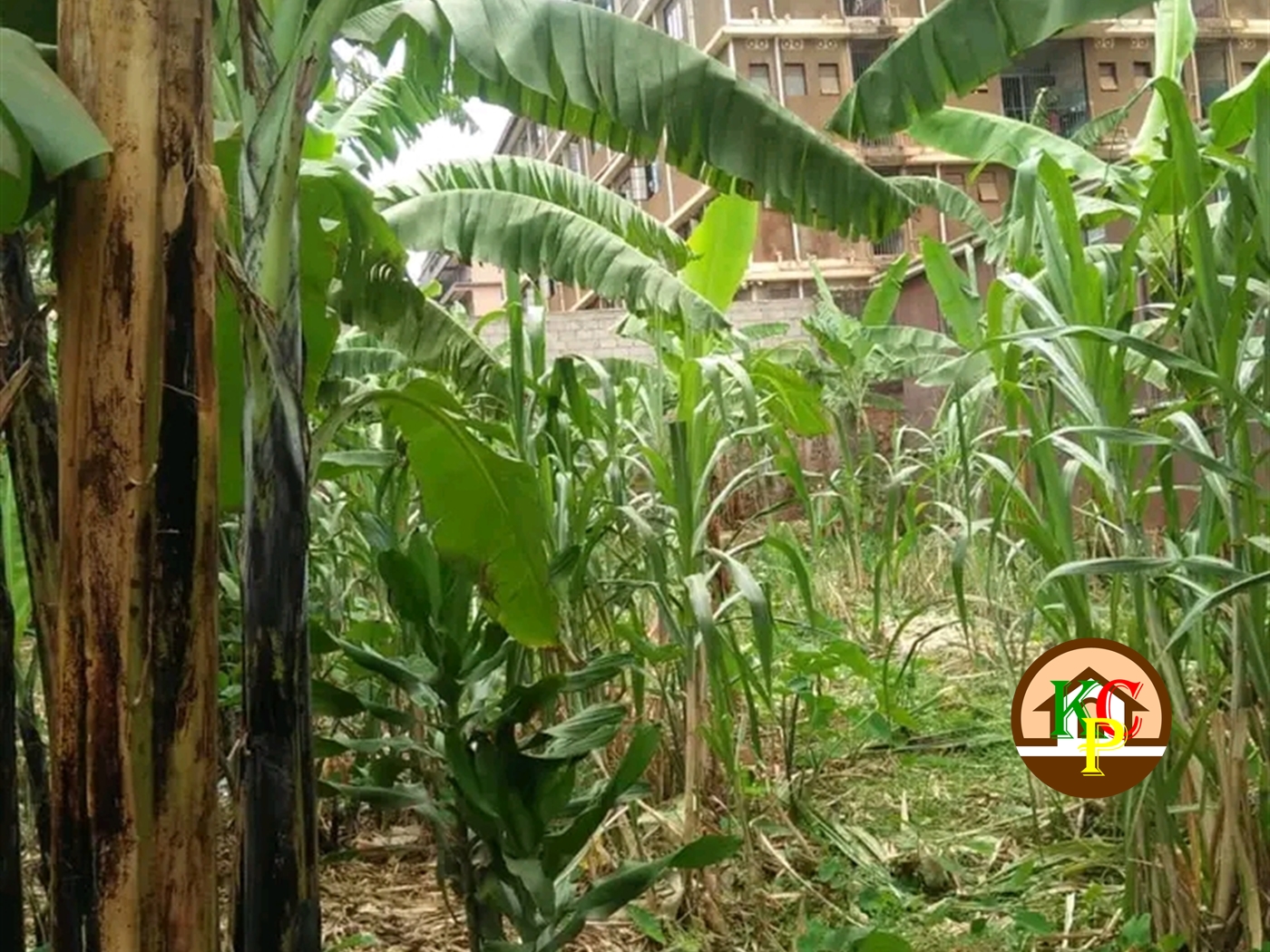 Residential Land for sale in Kikoni Kampala