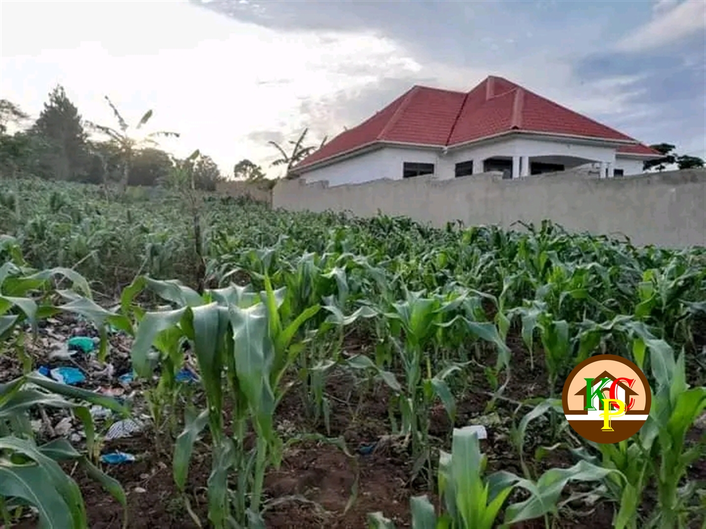 Residential Land for sale in Namugongo Wakiso