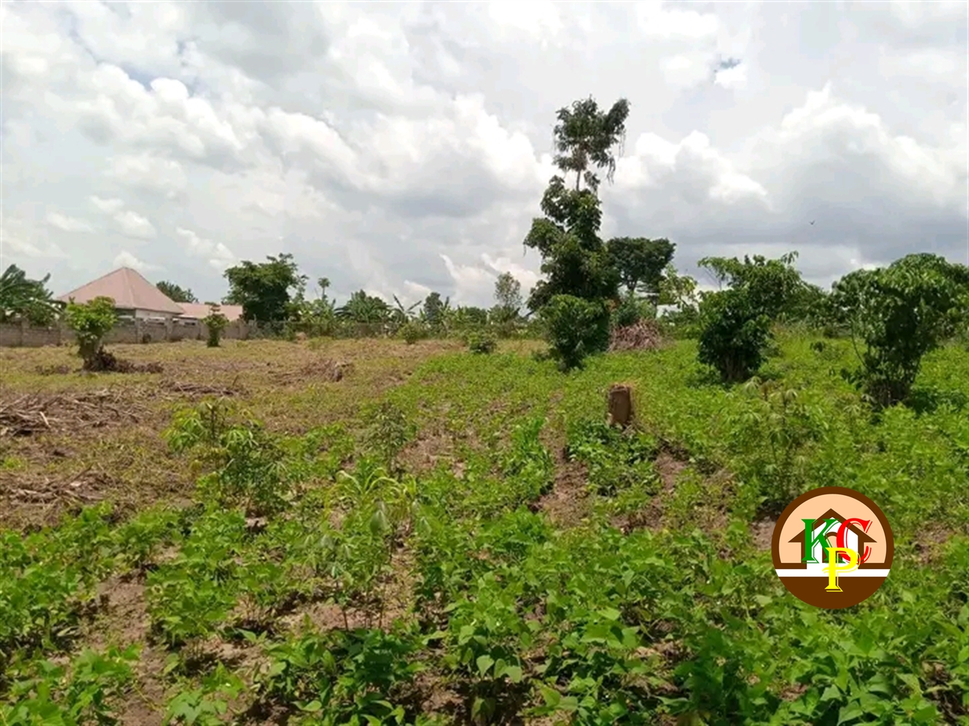 Residential Land for sale in Namataba Mukono