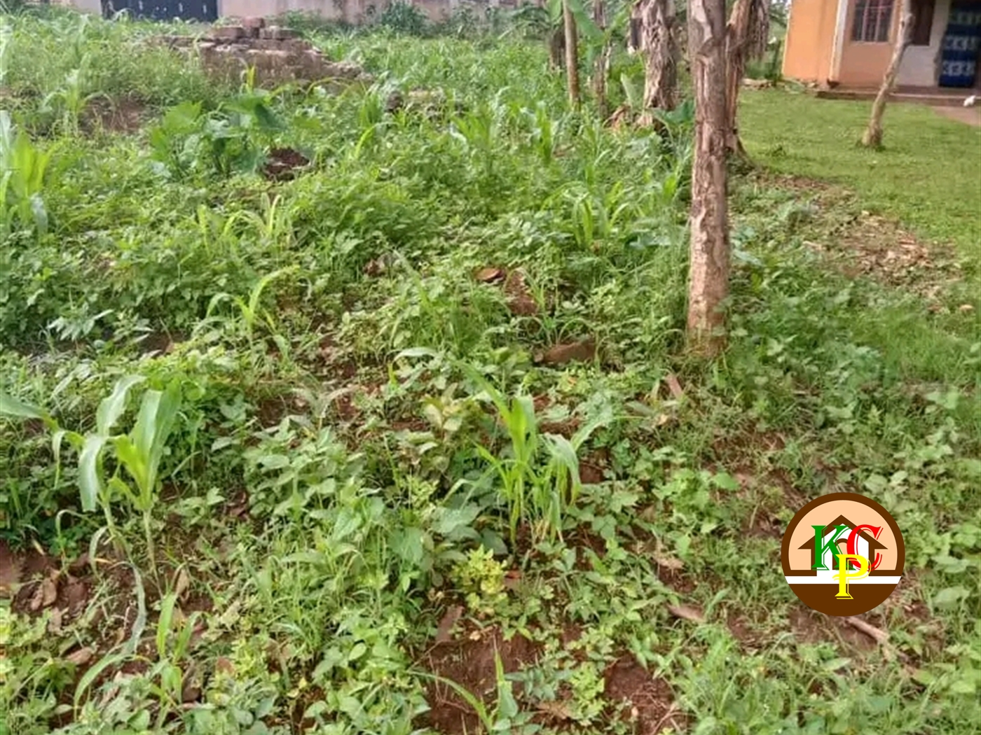 Residential Land for sale in Matugga Kampala