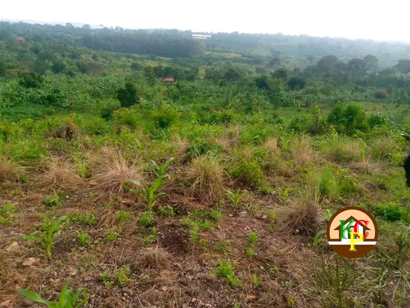 Residential Land for sale in Myanzi Mityana