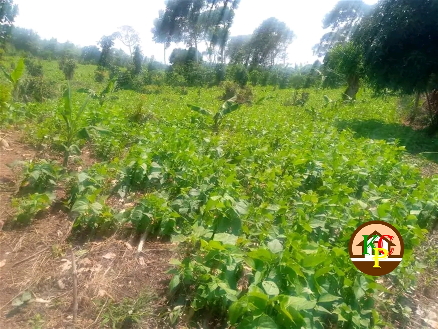 Residential Land for sale in Bombo Luweero