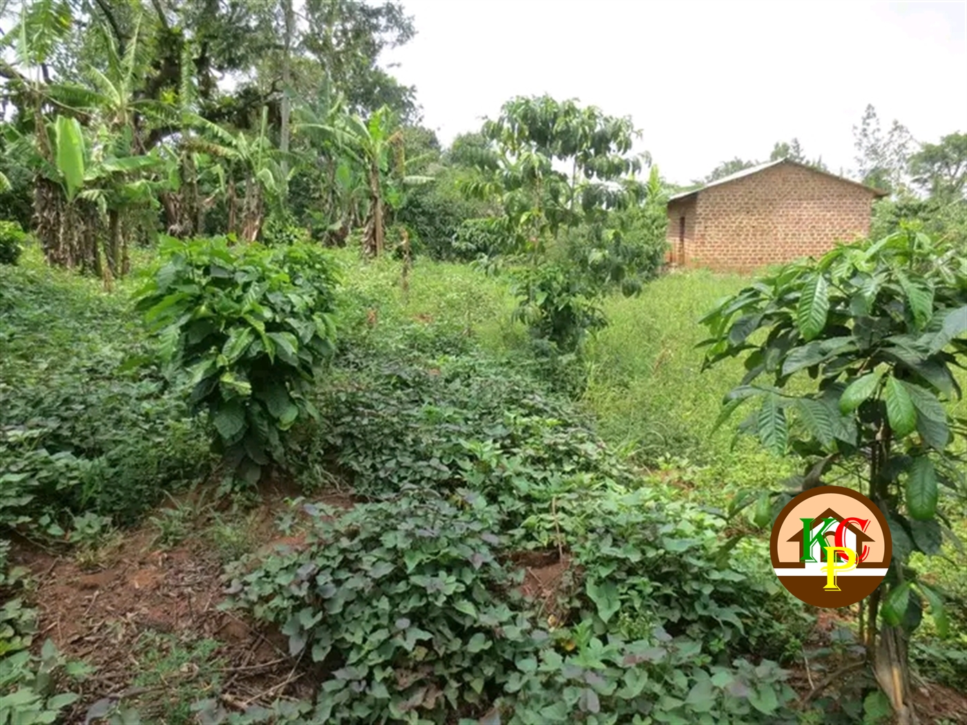 Residential Land for sale in Gayaza Wakiso