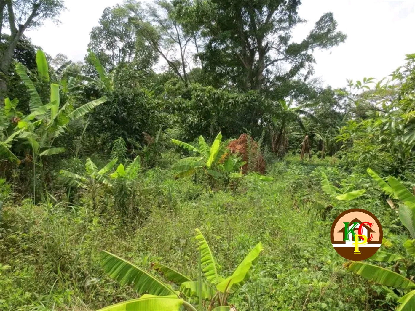 Residential Land for sale in Gayaza Wakiso