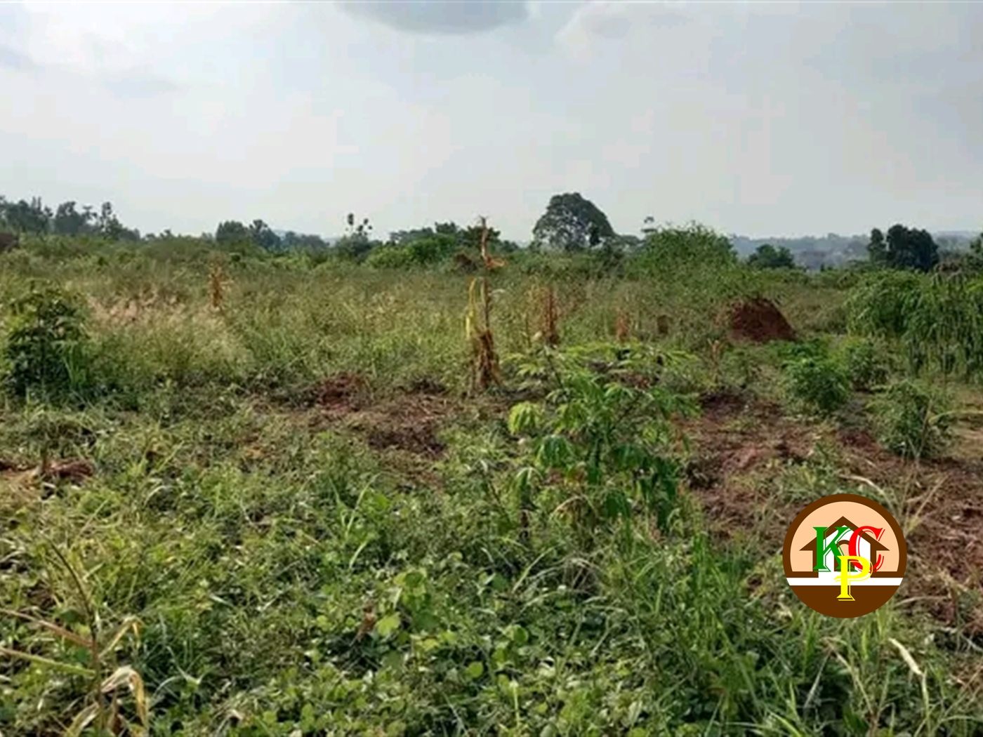 Residential Land for sale in Busukuma Wakiso