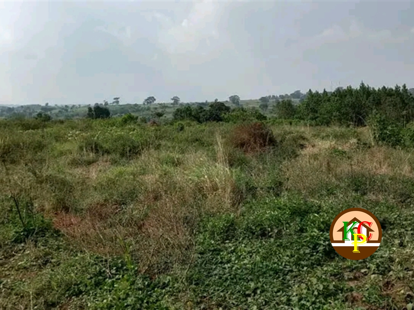 Residential Land for sale in Busukuma Wakiso