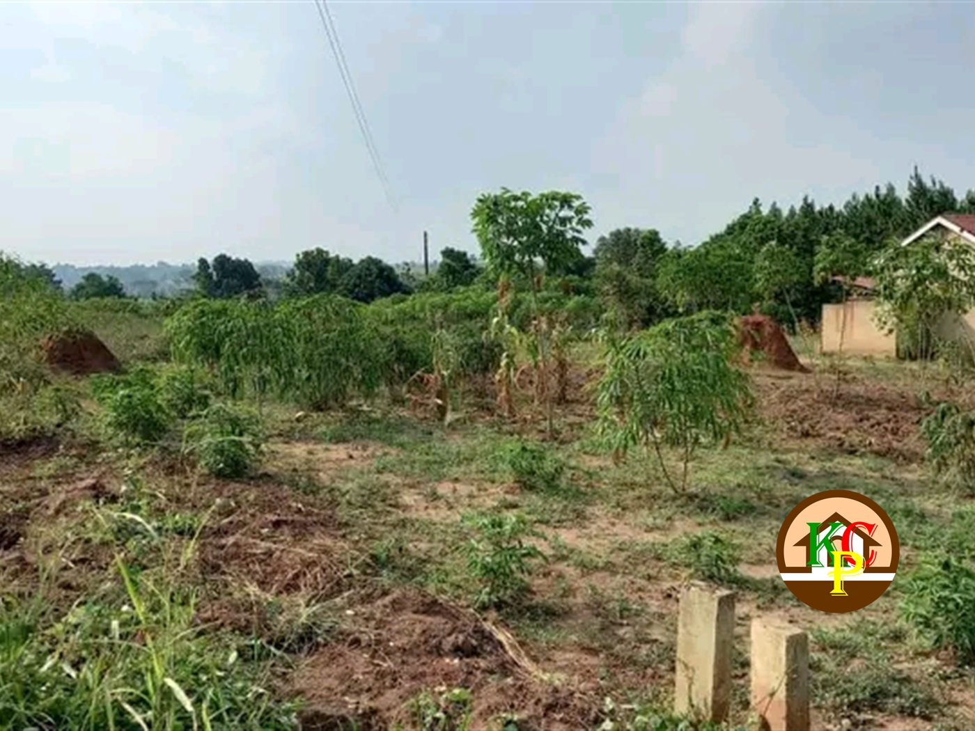 Residential Land for sale in Busukuma Wakiso