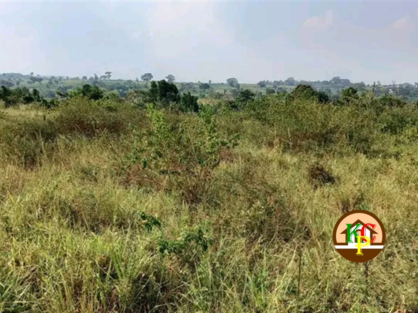 Residential Land for sale in Busukuma Wakiso