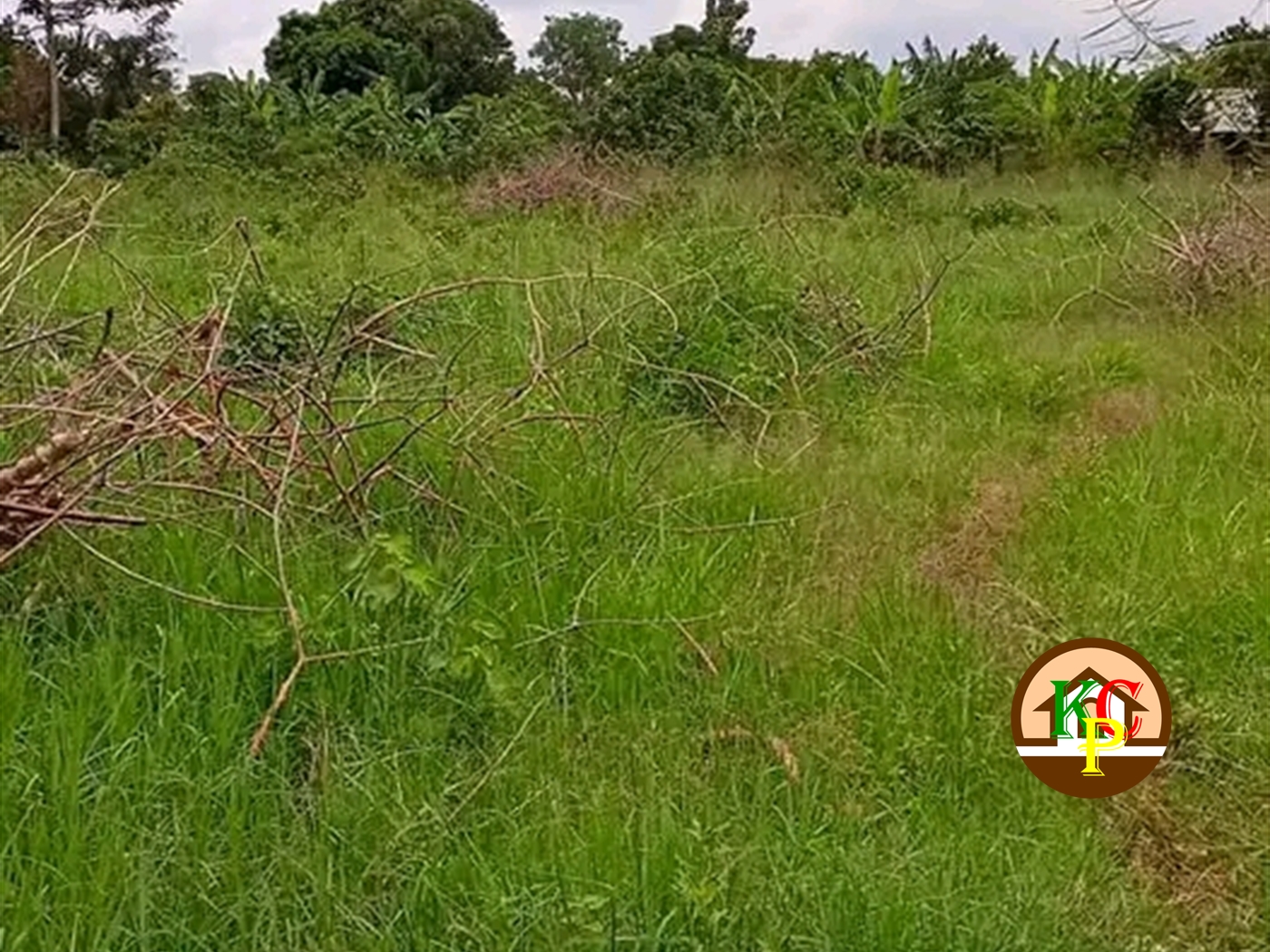 Residential Land for sale in Ziloobwe Luweero