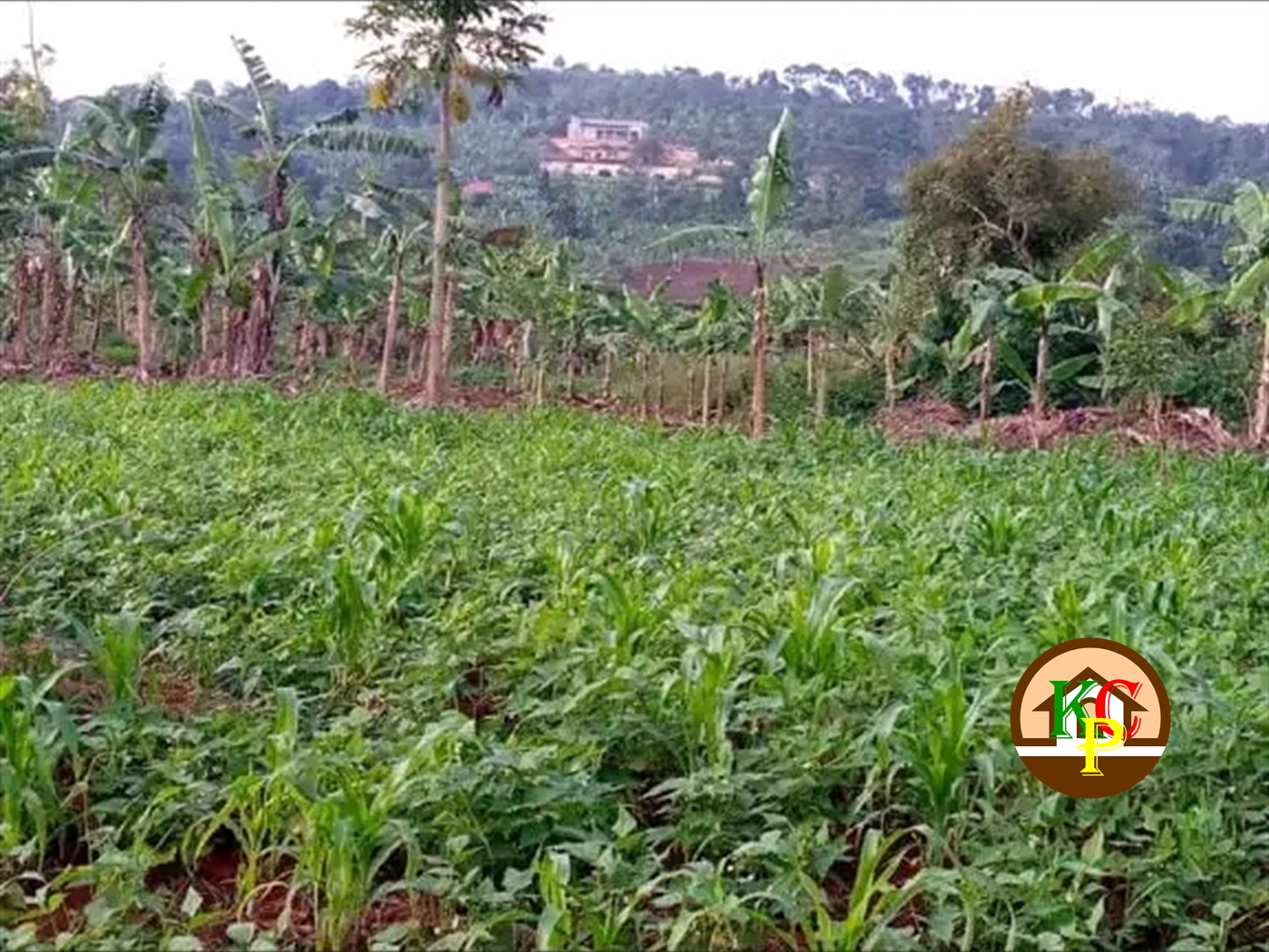 Residential Land for sale in Bombo Luweero