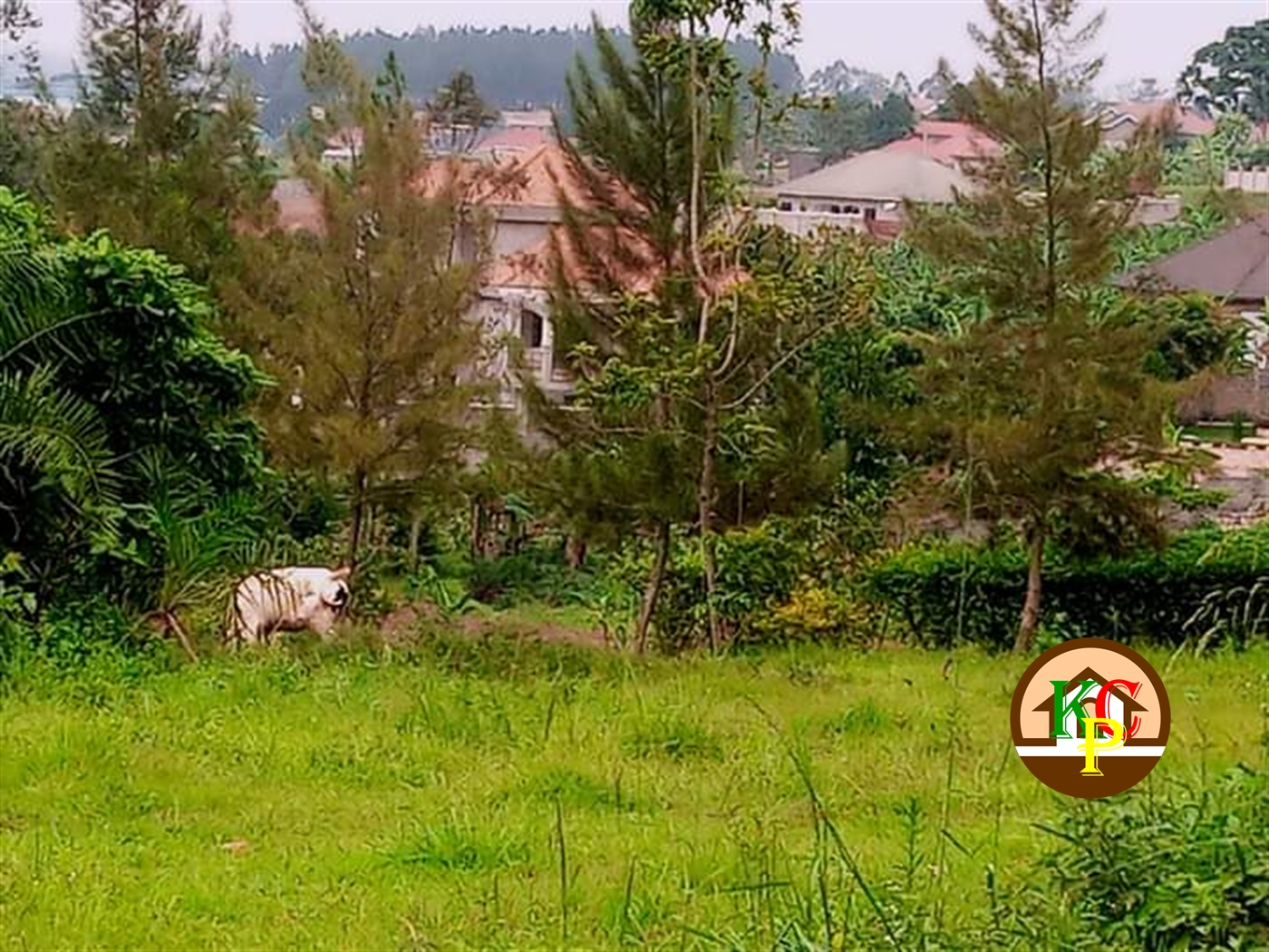 Residential Land for sale in Namugongo Wakiso