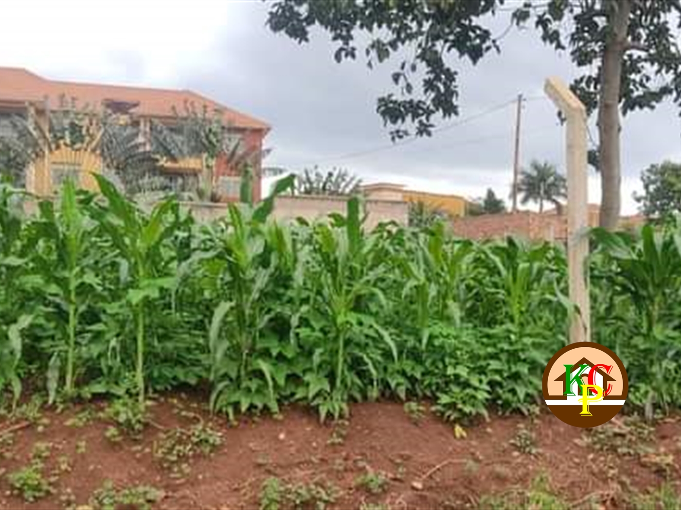 Residential Land for sale in Najjera Wakiso