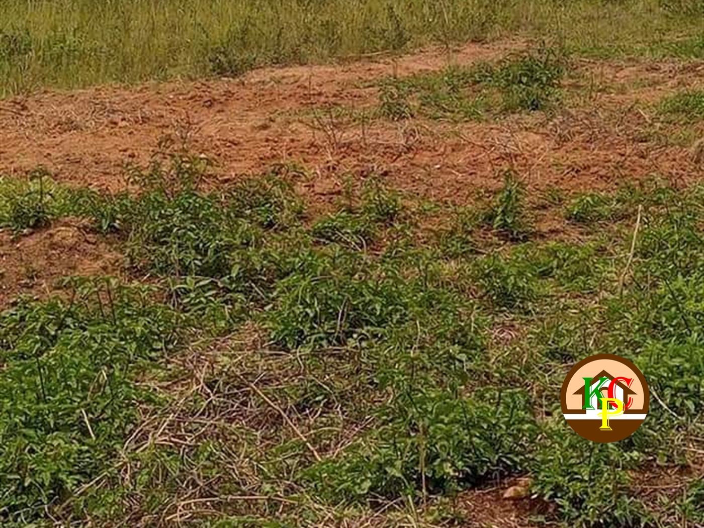 Residential Land for sale in Busukuma Wakiso