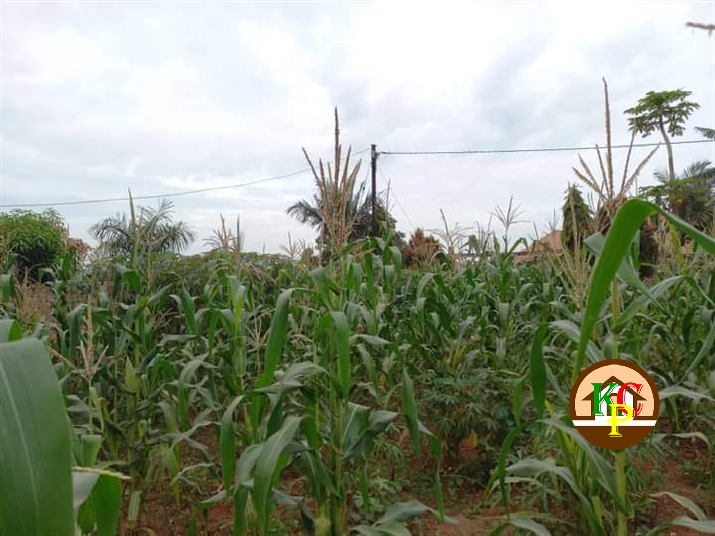 Residential Land for sale in Kira Wakiso