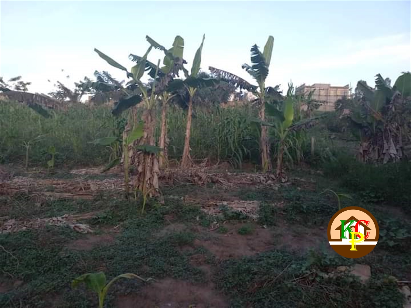 Residential Land for sale in Kira Wakiso