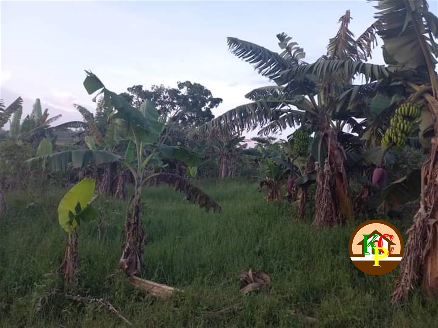 Residential Land for sale in Kira Wakiso