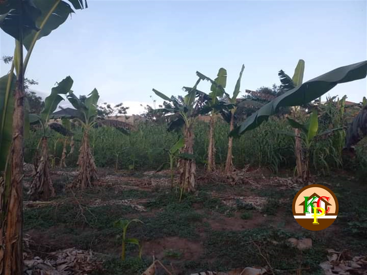 Residential Land for sale in Kira Wakiso