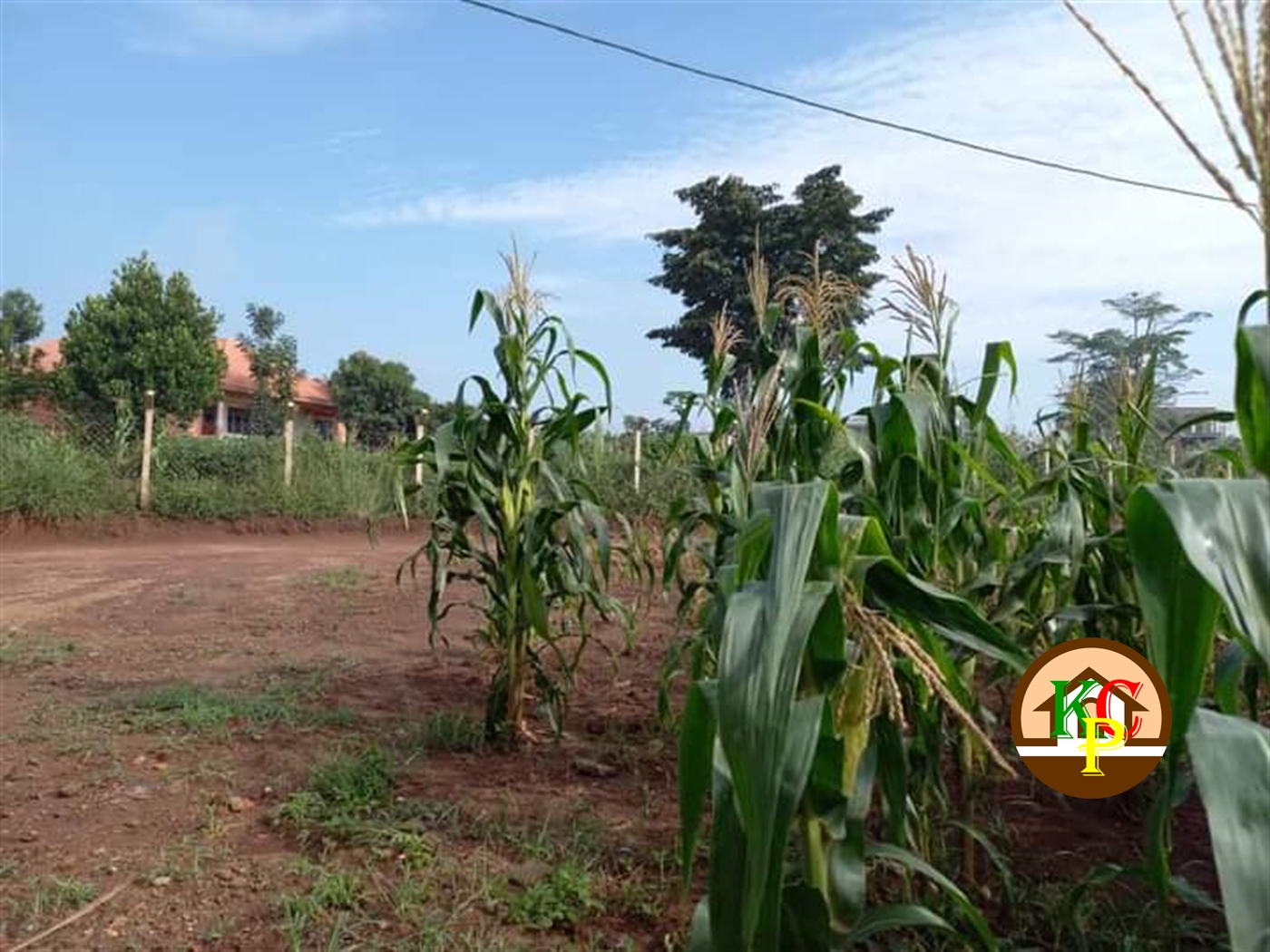 Residential Land for sale in Sonde Wakiso