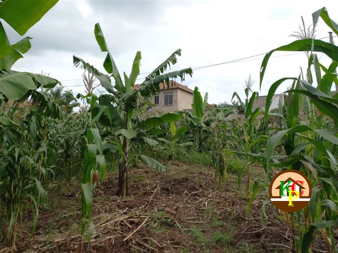 Residential Land for sale in Kira Wakiso