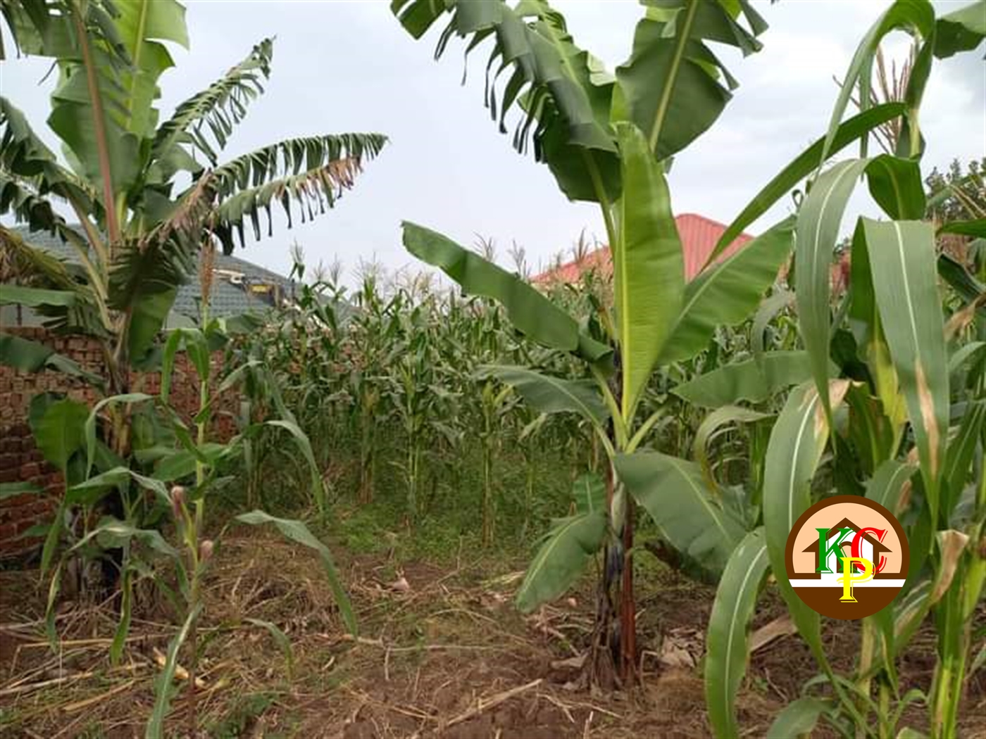 Residential Land for sale in Kira Wakiso