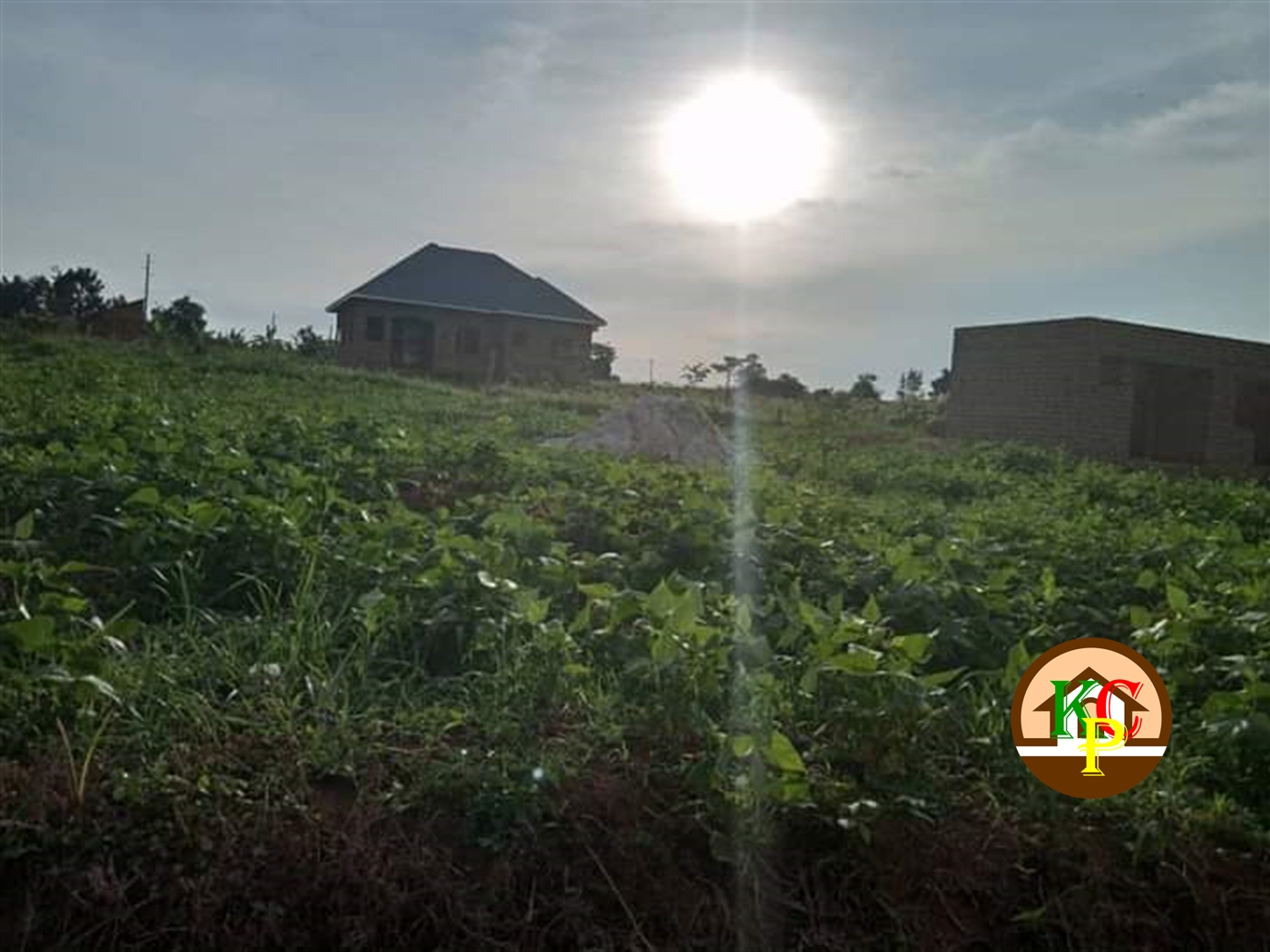 Residential Land for sale in Matugga Wakiso