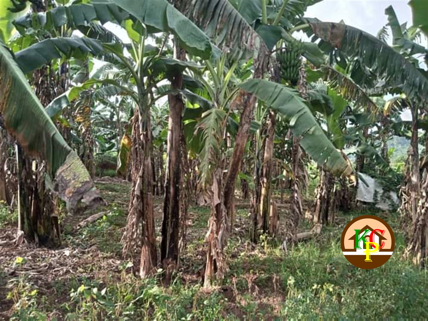 Residential Land for sale in Matugga Wakiso