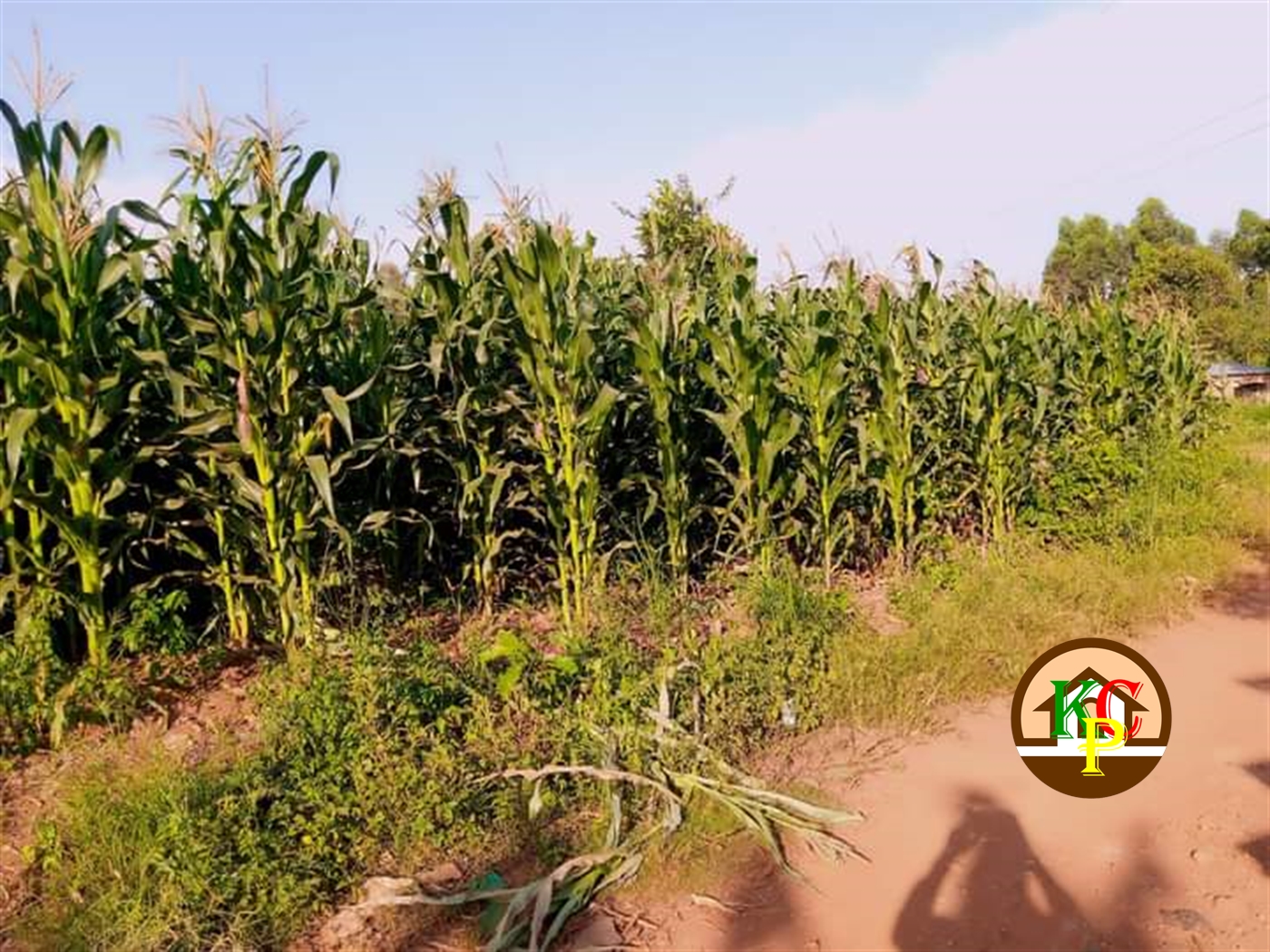 Residential Land for sale in Namugongo Wakiso