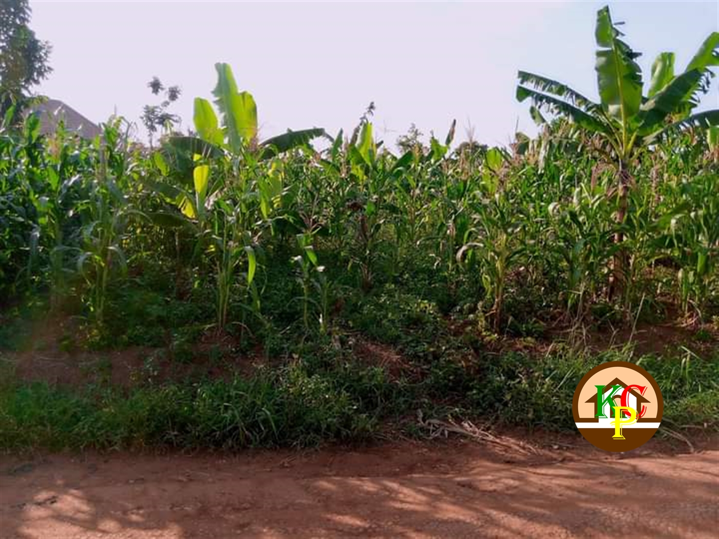 Residential Land for sale in Namugongo Wakiso