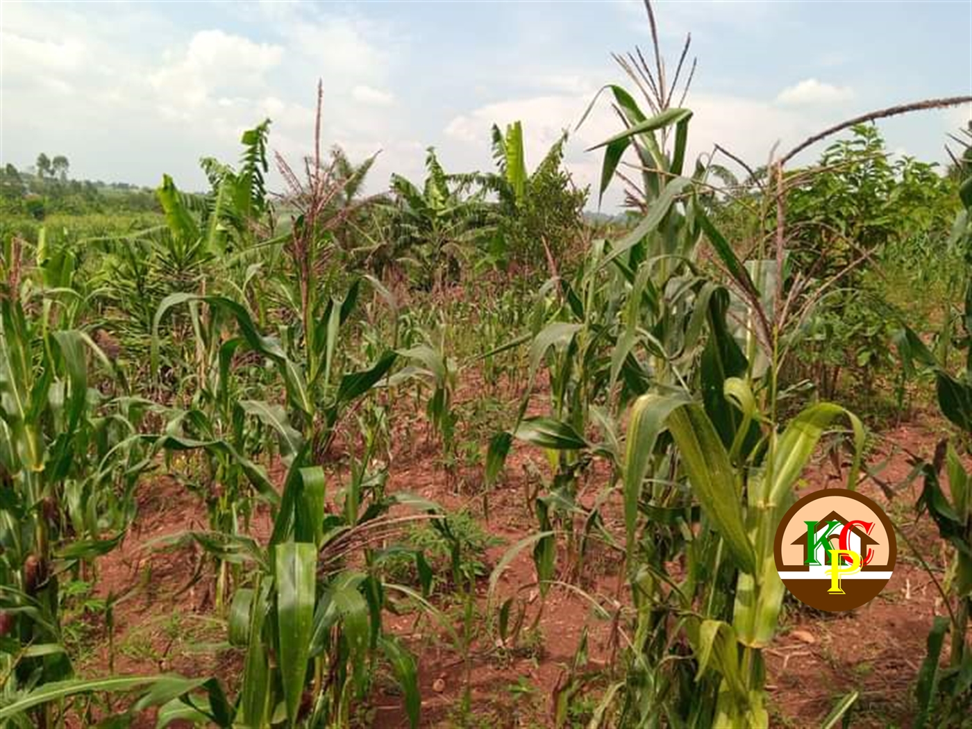 Residential Land for sale in Kira Wakiso