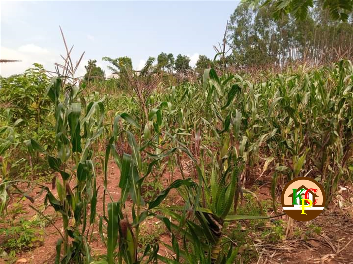 Residential Land for sale in Kira Wakiso