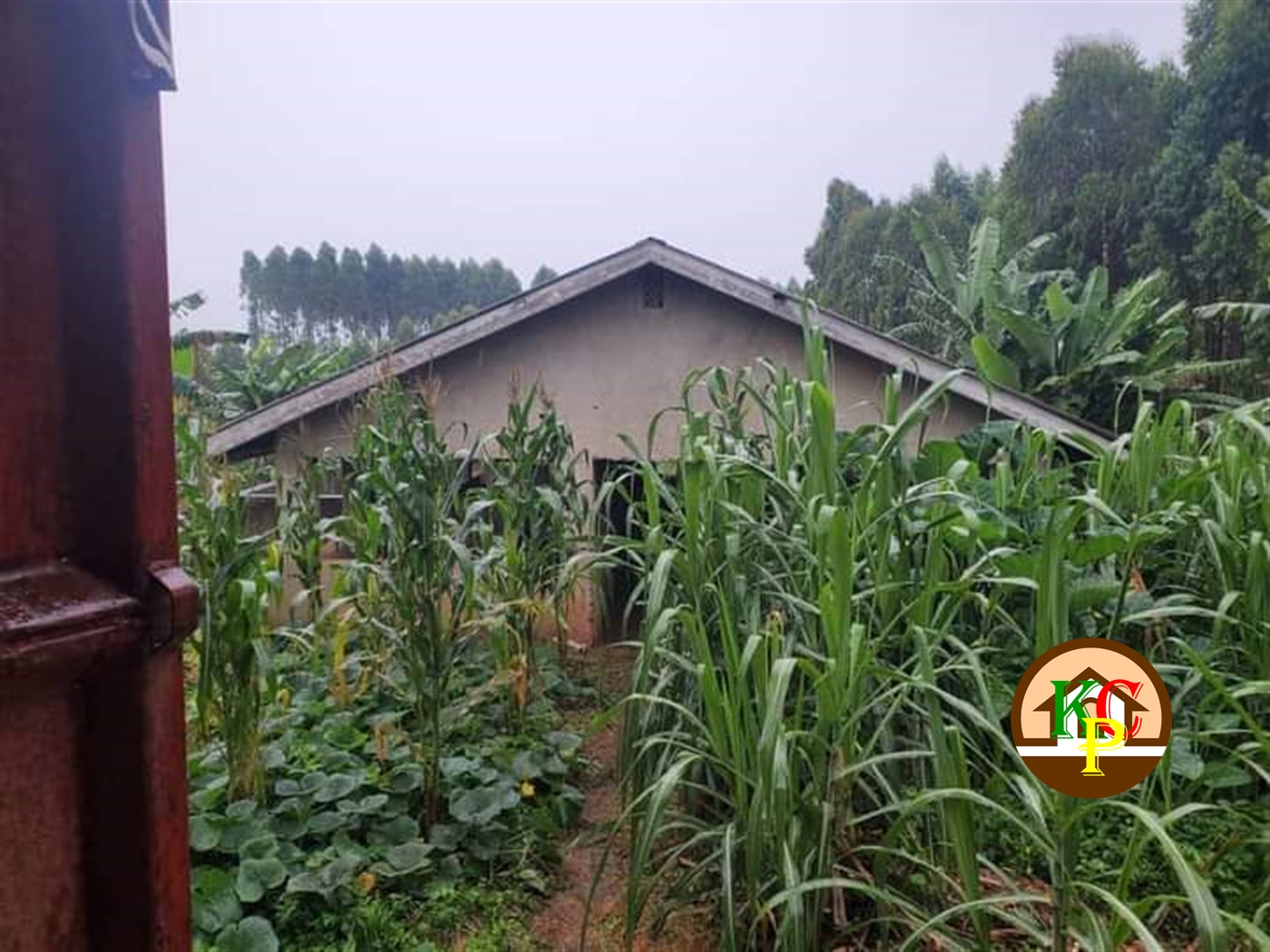 Residential Land for sale in Mpoma Mukono