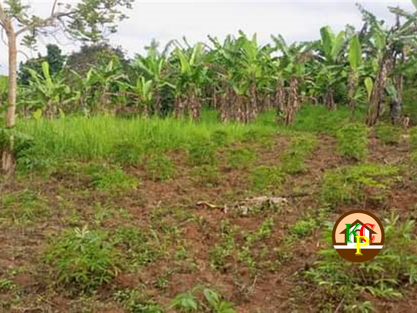 Residential Land for sale in Gayaza Wakiso